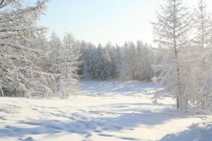 Зима в Якутии