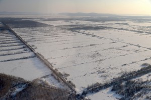 гектар