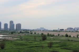 IMG_3363