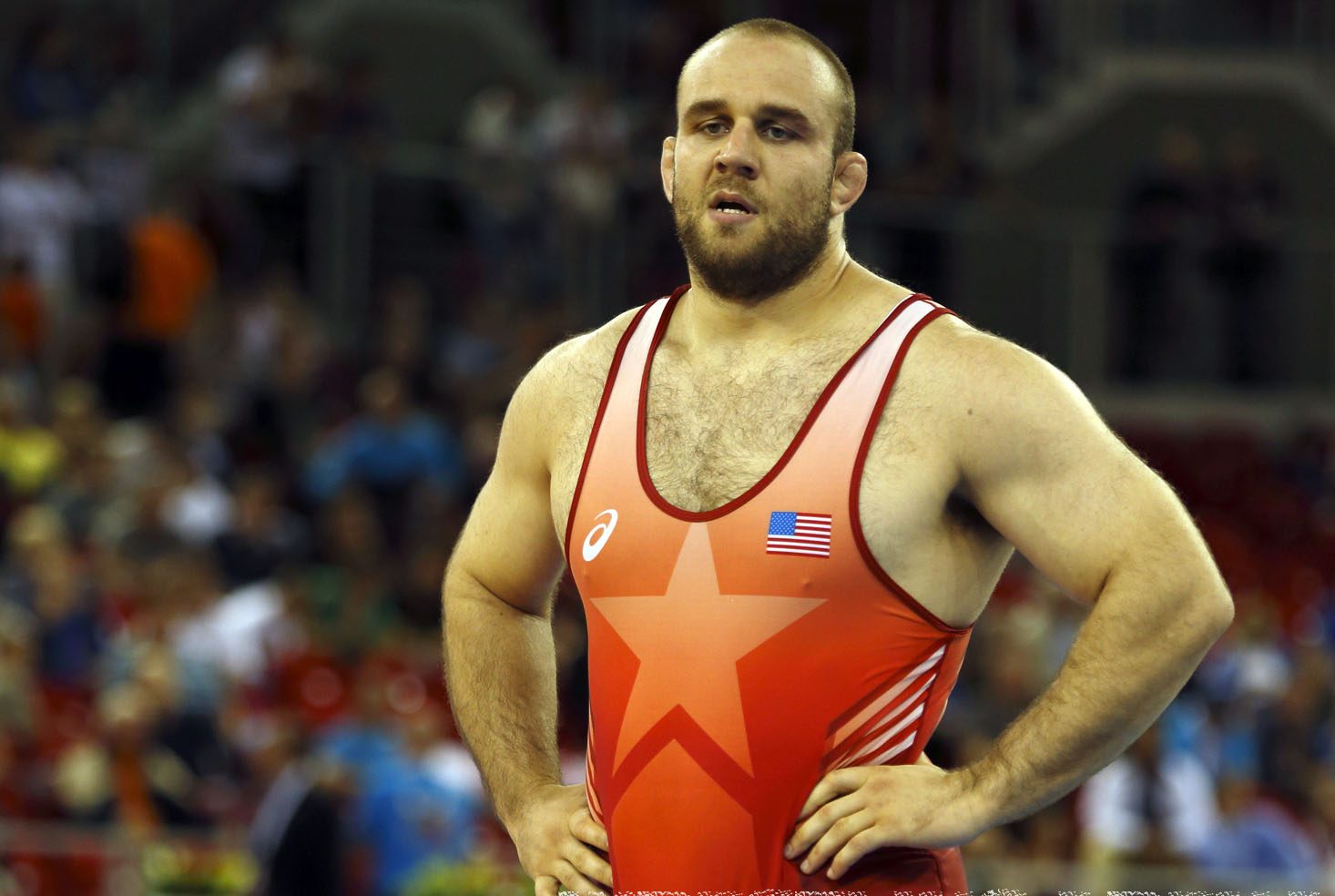 Budapest2013WorldFreestyleWrestlingChampionship120kgDlagnev