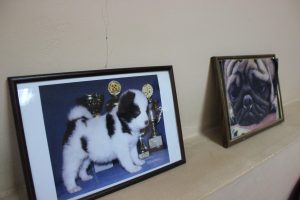 IMG_0073