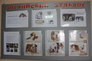 IMG_0077