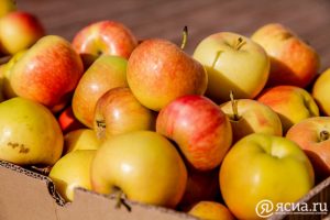 IMG_4833