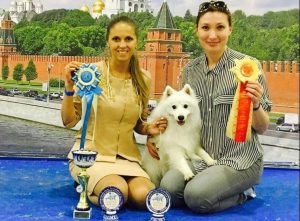 WDS-2016-e1467176743720