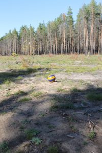 Здесь будут волейбольные площадки
