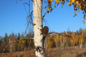 img_1656