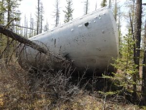 f-1-blizko-560x420