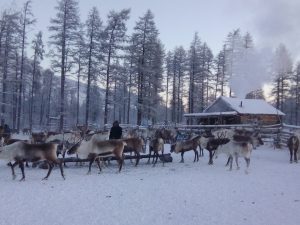 img_20161127_110229-zhigansk3