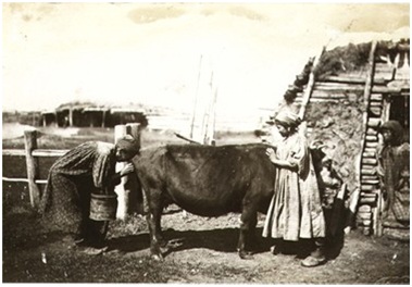 risunok1