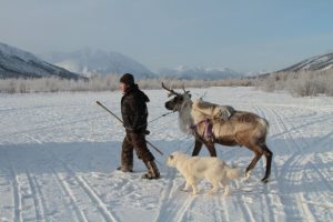 IMG_0329-696x464
