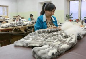 IMG_1407-696x481