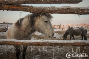 IMG_4918