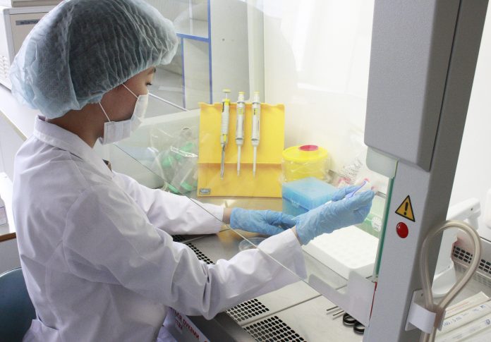 Юлия Евсееева за Выращиванием аутофибробластов в Центр клеточных технологий МИ СВФУ