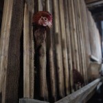 IMG_6917