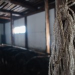 IMG_7014