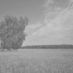 gallery_6125_1665_449166-1-darken