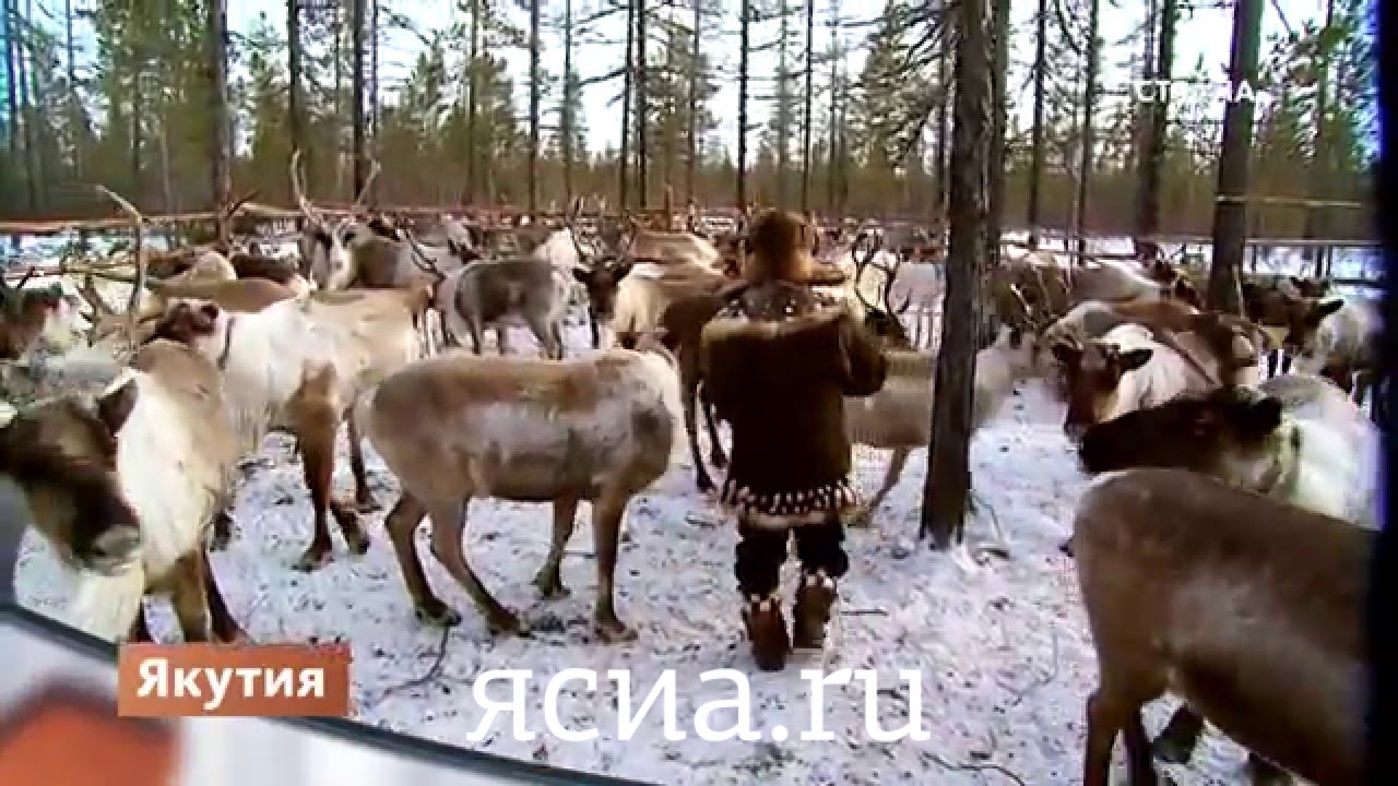 Телеканал «Страна» рассказал о Якутии