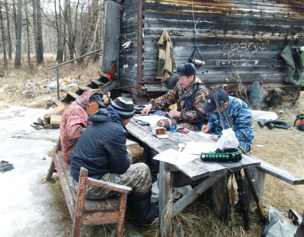 Погода хампа