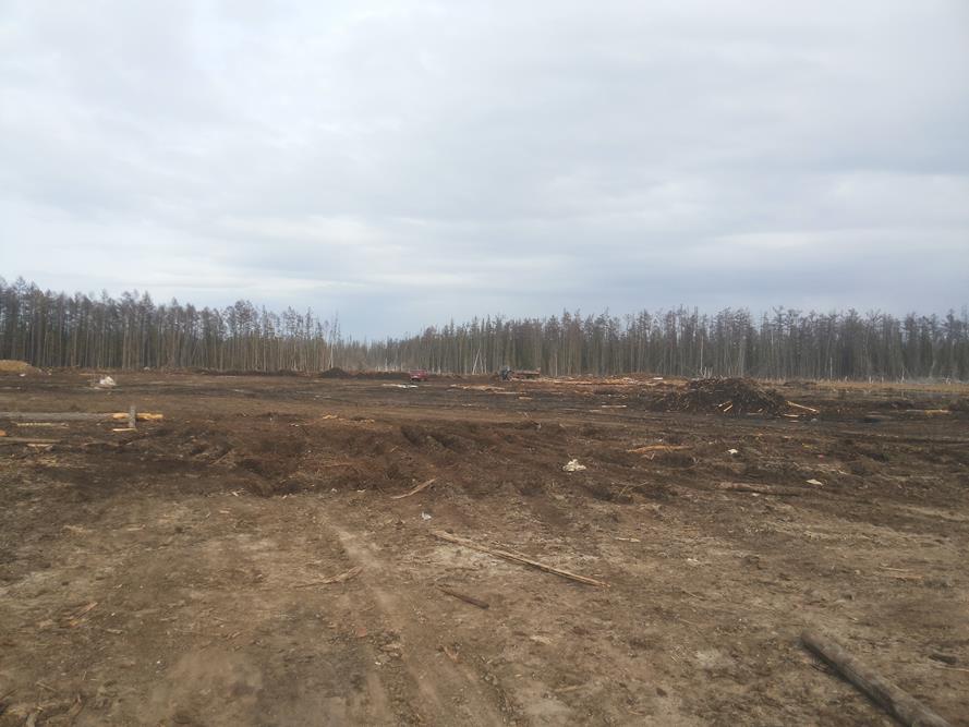 В Сунтарском улусе загрязненный производственный участок начали рекультивировать