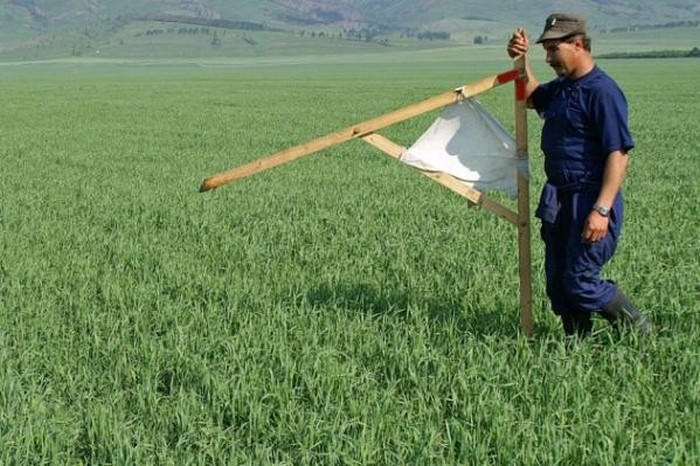 Более 500 человек прислали на конкурс предложения по использованию «дальневосточного гектара»