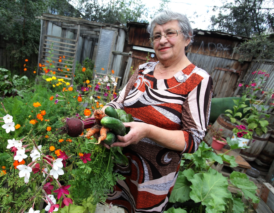 Сайт садоводов любителей. Женщина с урожаем. Садовод огородник. Бабушка с урожаем. Бабушка Садовод.
