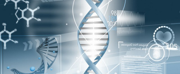 Проекты СВФУ