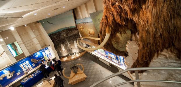 Проекты СВФУ