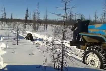 Минприроды: Машины живодеров принадлежат Мирнинскому филиалу «Якутгеофизики»
