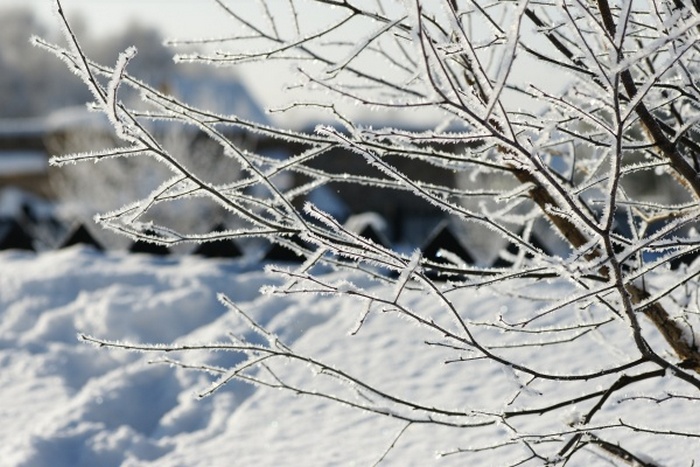 Якутию накрыл азиатский антициклон