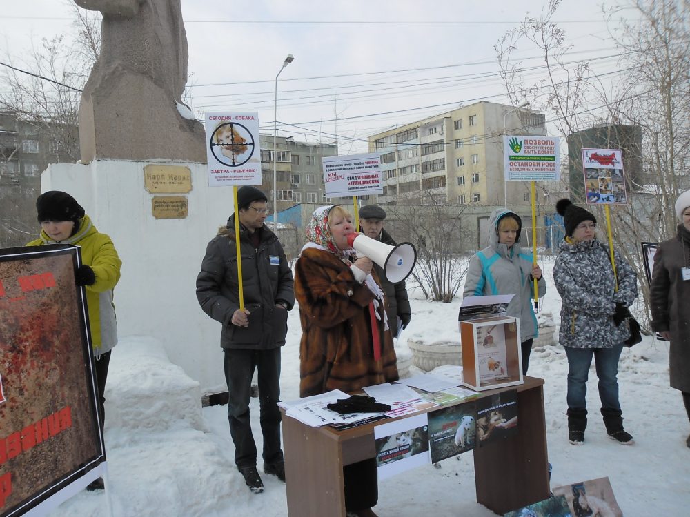 В Якутске прошел митинг в защиту животных