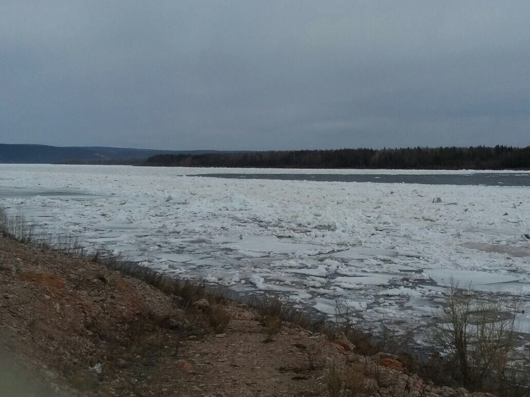 Нижняя кромка ледохода на Лене находится у Пеледуя