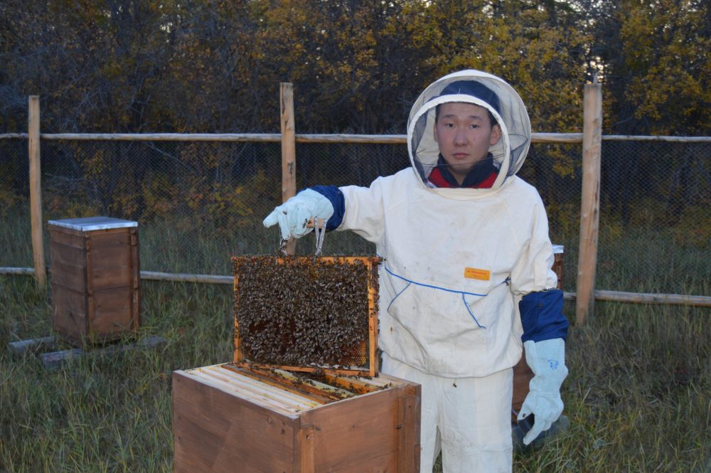 Горнай улууһугар «Алаас мүөтүн» эдэр киһи оҥорон таһаарда