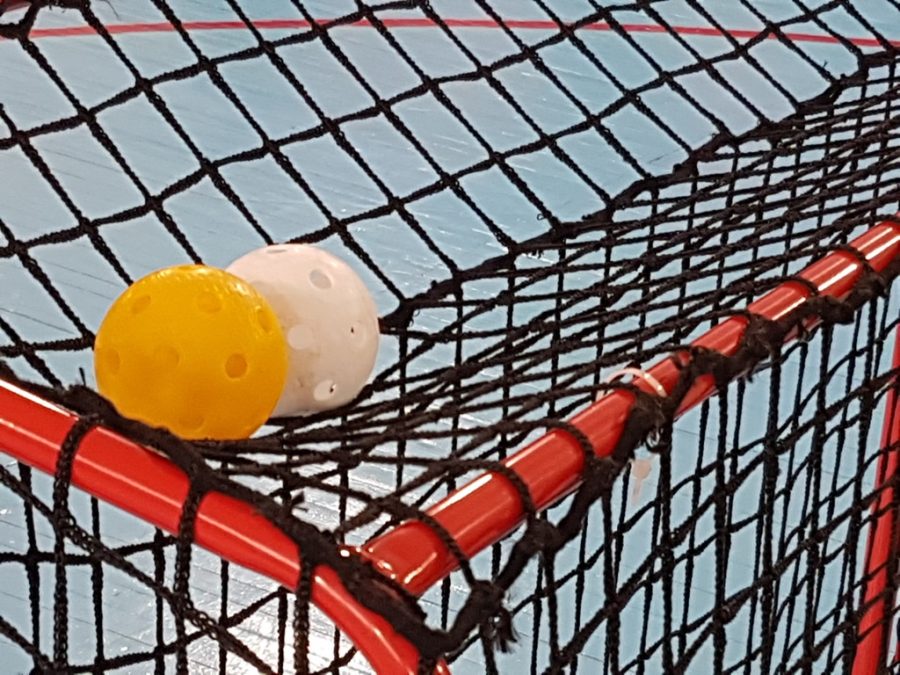 В Алдане дан старт районному чемпионату по флорболу