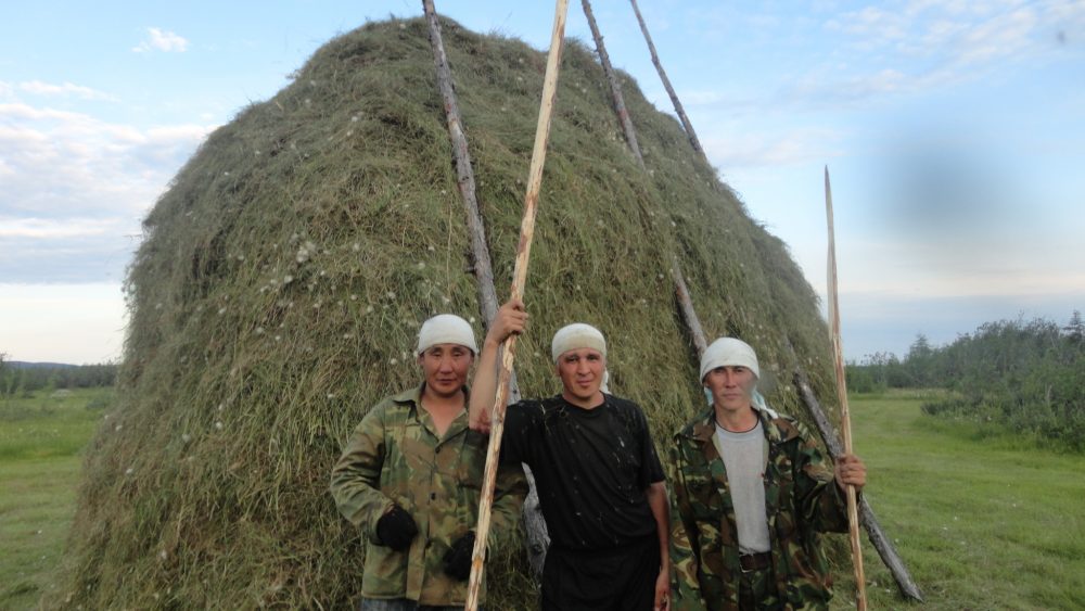 Булуҥ улууһун Бороҕонугар сүөһү кыстыгы туоруур ото булулунна