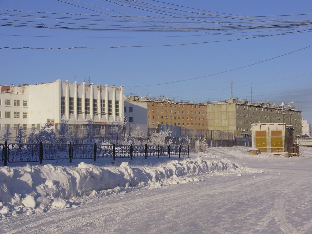 Поселок депутатский фото изображение 76