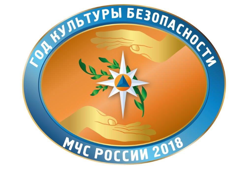 2018-й в МЧС России объявлен Годом культуры безопасности
