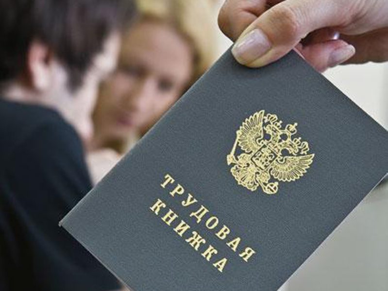 Программа трудоустройства – шанс найти работу