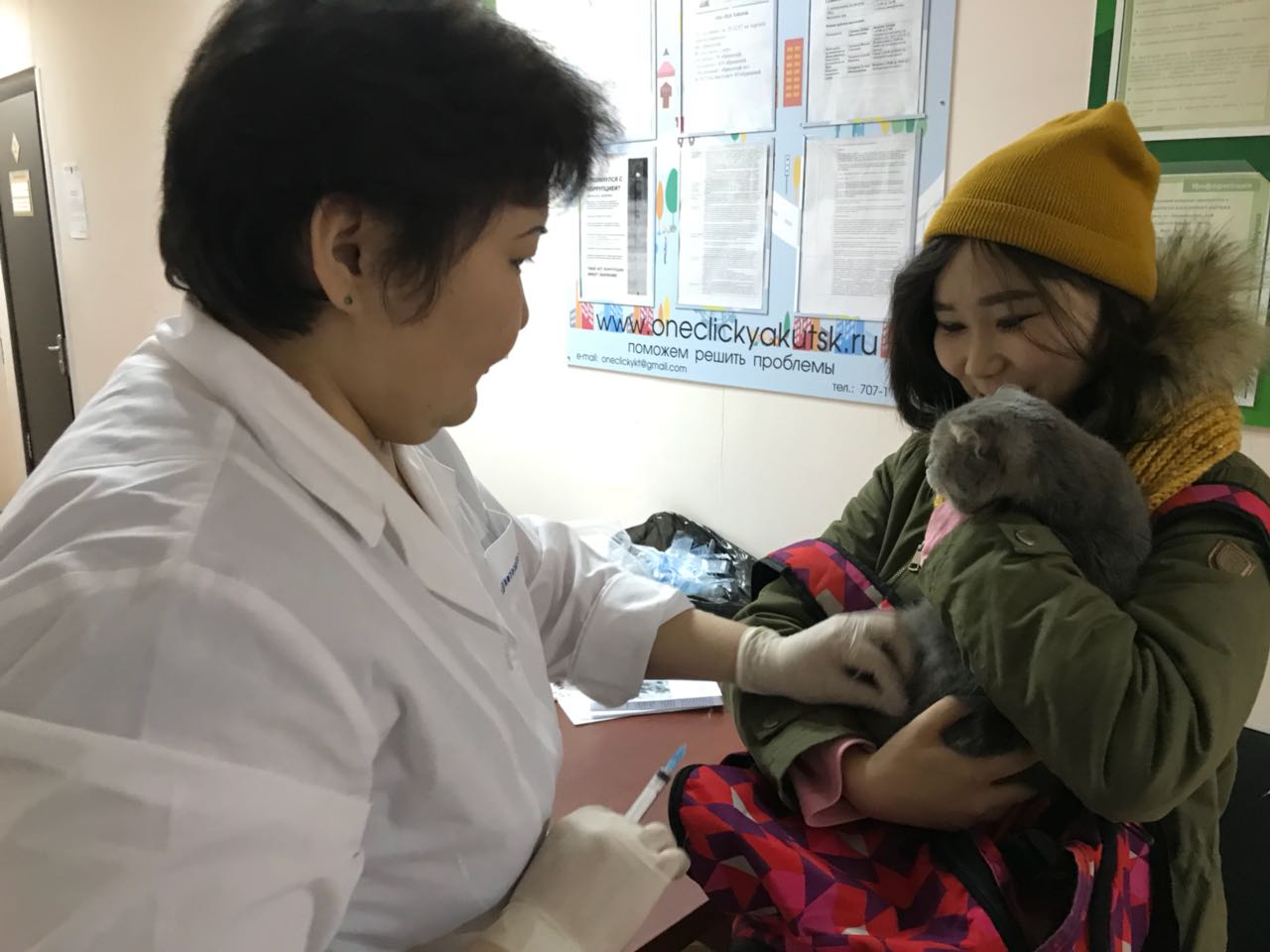 В Якутске и пригородах бесплатно вакцинируют домашних животных от бешенства